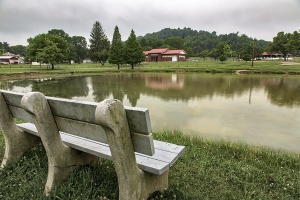 Pond in Village Park